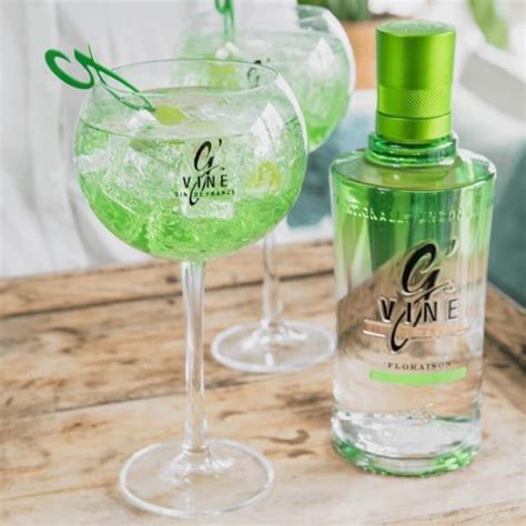 GVine Floraison Gin The Gin To My Tonic