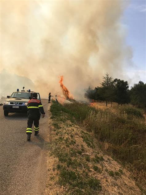 Coldiretti Il Degli Incendi In Sardegna Di Origine Dolosa