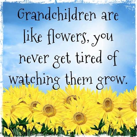 Grandkids Quotes For Facebook