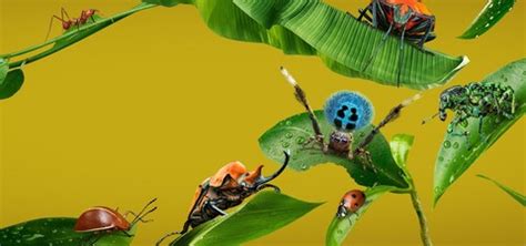 La Vida Secreta De Los Insectos Temporada Ver Todos Los Episodios