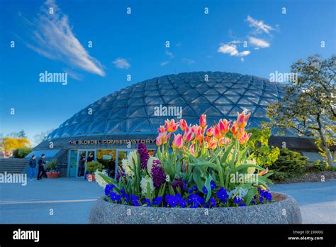 Queen Elizabeth Park Vancouver British Columbia Canada Stock Photo