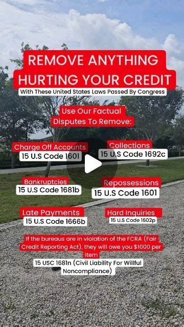 Credit Right Services On Instagram Use These Statutes To Challenge