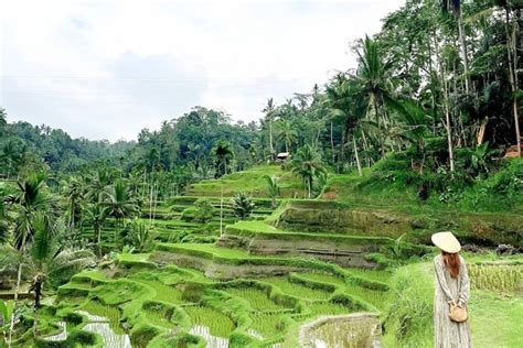 Bali Shore Excursions Best Of Bali Tour