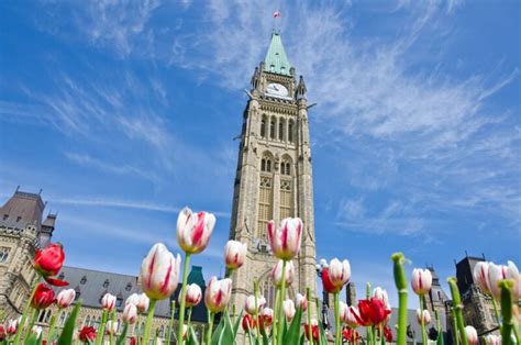 The 15 Best Things To Do In Ottawa Canada Wandering Wheatleys