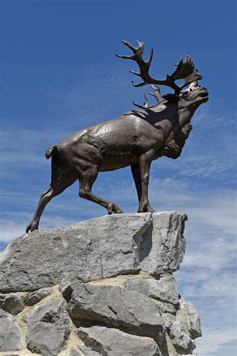 Newfoundland Regiment Memorial Beaumont Hamel France Flickr