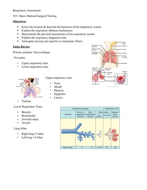 Week 1 Resp Lecture Slide Notes Respiratory Assessment N51 Basic Medical Surgical Nursing