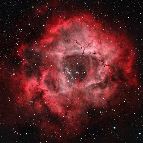 Rosette Nebula Ngc 2244 Rastrophotography