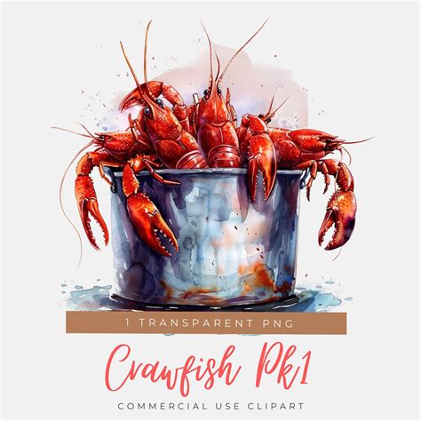 Crawfish Boil Seafood PNG Crayfish Png Lets Get Cray Png Louisiana Clip