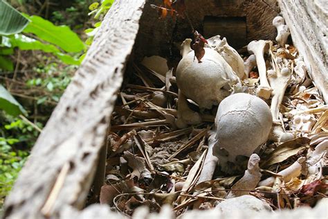 Human Bones Spilling Out Of A Decaying Casket Bones Spilli Flickr