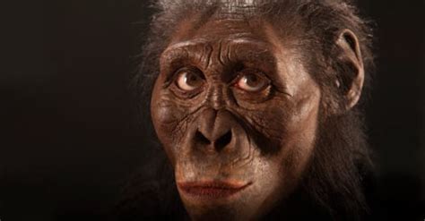 Lucy The World S Oldest Fossil Of A Human Ancestor Is Coming Expo