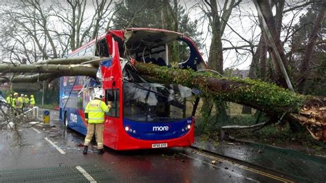 Tree Smashes On To Double Decker Bus In Poole Bbc News