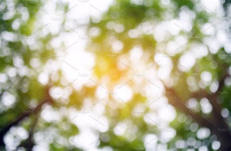 blurred forest background | Abstract Stock Photos ~ Creative Market