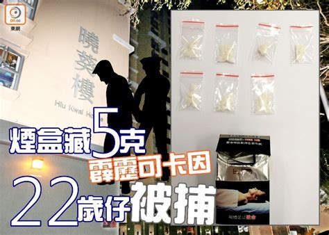 22歲仔葵涌邨被警截查 煙盒藏霹靂可卡因斷正｜即時新聞｜港澳｜oncc東網