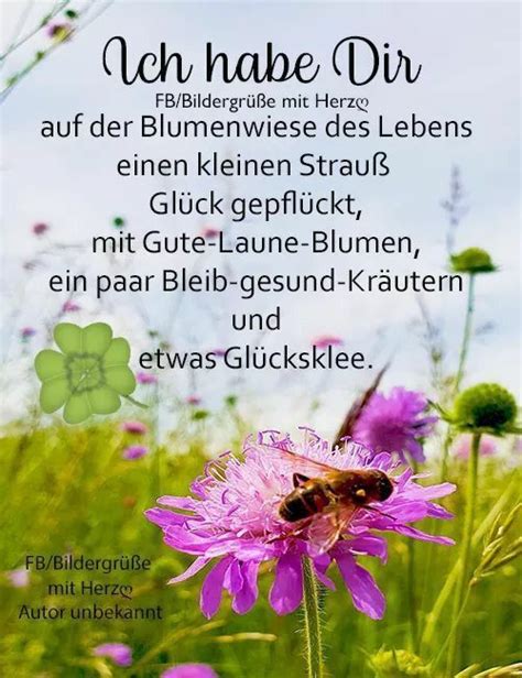 Ich Habe Dir Auf Der Blumenwiese Des Lebens Einen Kleinen Strau Gl Ck