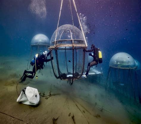 Divers Are Growing Herbs In Fascinating Underwater Biospheres