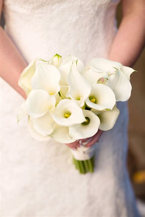 White Calla Lily Bridal Bouquet Held By Calla Lily Bridal Bouquet