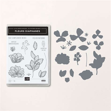 Lot de tampons et poinçons Fleurs diaphanes de Stampin Up