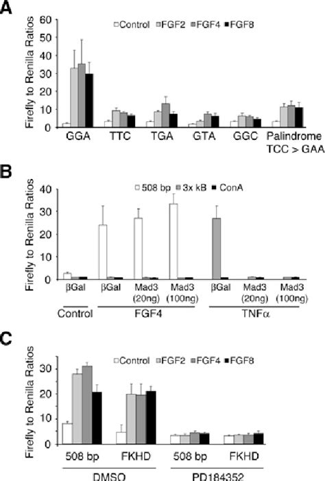 Figure 1 From Negative Feedback Regulation Of FGF Signalling By DUSP6