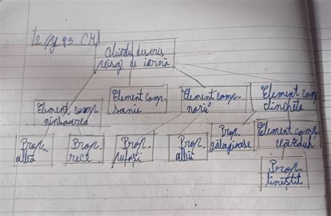 2 Realizeaza O Schema A Descrierii Din Ultima Strofa Pe Modelul Celei