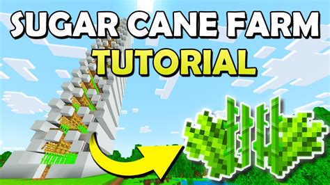 Best Sugar Cane Farm In Minecraft Bedrock 121 Youtube