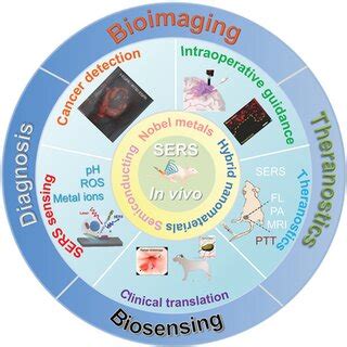 Schematic Illustration Of SERS Active Materials And Their Applications