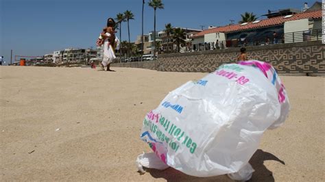 California First Us State To Ban Plastic Bags