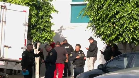 Hallan a Hombre Colgado de Un Árbol sin Vida en la Alcaldía