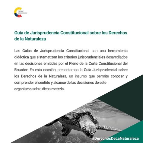 Corte Constitucional On Twitter El Cedececuador Nos Comparte La