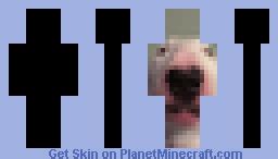 walter Minecraft Skin