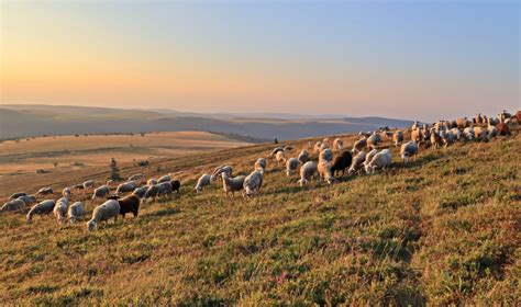 Mesures Agroenvironnementales Et Climatiques MAEC Parc Naturel