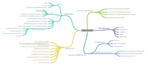 Organ Allocation Coggle Diagram