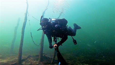 Scuba Diving Silverwood Lake California Huge Fish Anchors And A