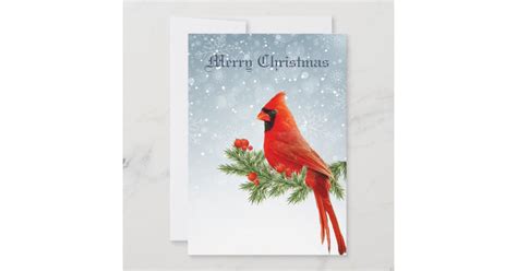 Red Cardinal Bird Merry Christmas Greeting Holiday Card