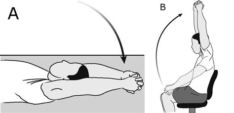 Active Assisted Rom Exercises For Shoulder - Exercise Poster