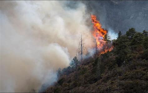 Brigadistas Quedan Atrapados Entre Las Llamas Durante Incendio En Nuevo