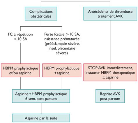 Syndrome Des Anticorps Antiphospholipides Beaucoup De Nouveaut S