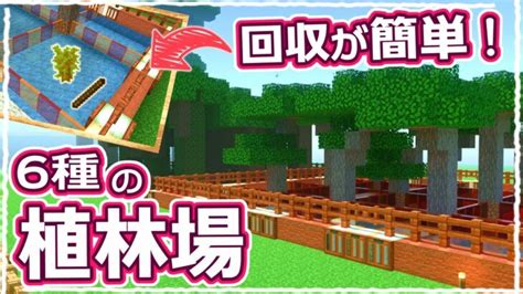 【マイクラ】自動回収機能付き！超便利な6種類の植林場の作り方 61【統合版サバイバル】 Minecraft Summary マイクラ動画