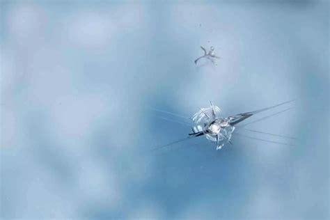An Introduction To Fixing A Chipped Windshield