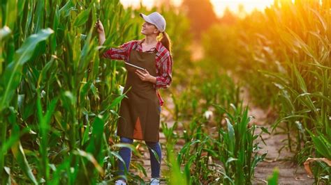 WOMEN IN THE AGRIFOOD INDUSTRY – How cross-gender collaboration impacts ...