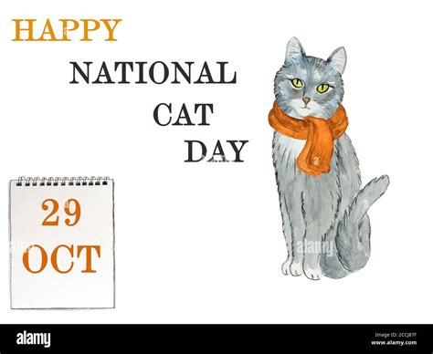 National Cat Day Beautiful Card Close Up Stock Photo Alamy