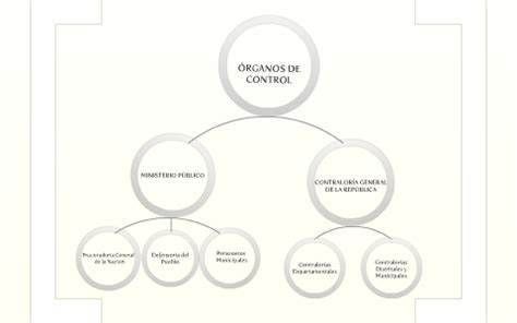 Organos De Control By Valeria Corrales On Prezi