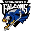 Springfield Falcons Free Vector Download | FreeImages