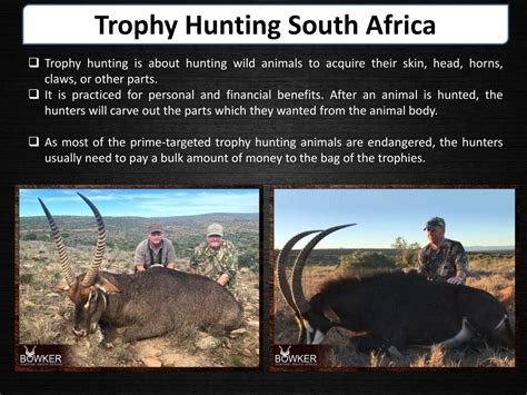 Ppt Top 5 Benefits Of Trophy Hunting In South Africa Powerpoint