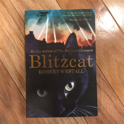 Blitzcat By Robert Westall Paperback Pangobooks