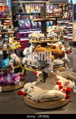 The Petco In Union Square Offers A Full Range Of Pet Supplies New York