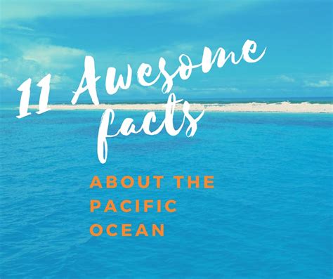 Pacific Ocean Fun Facts For Kids