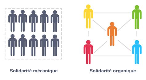 Comment se construisent et évoluent les liens sociaux 1ère Cours