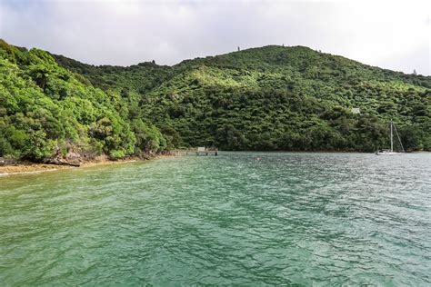 The Punga Cove Resort (Endeavour Inlet, Marlborough Sounds, New Zealand ...