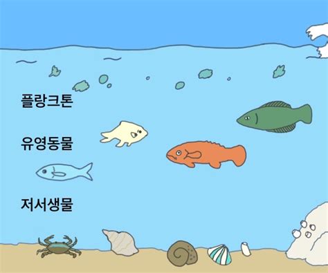 인간과 바다 그 사이의 해양생물학