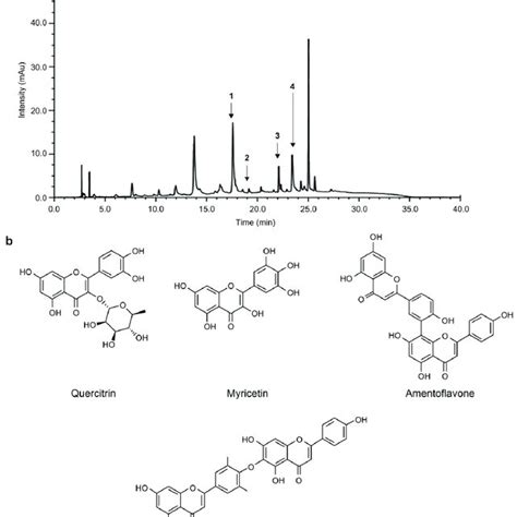 High Performance Liquid Chromatography Chromatogram Of The Ethanol